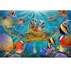 STEVE SUNDRAM MAXI GREETING CARD Tiny Bubbles